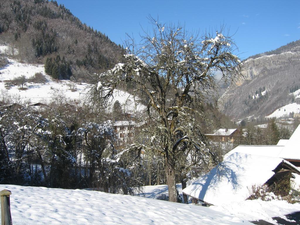 Appartement Borne Saint-Jean-dʼAulps Zimmer foto